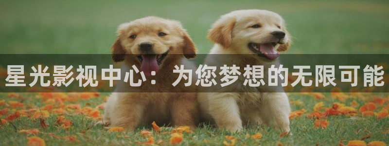 坏孩子的天空电影免费观看：星光影视中心：为您梦想的无限可能