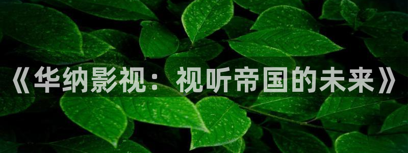 天空视频在线播放：《华纳影视：视听帝国的未来》