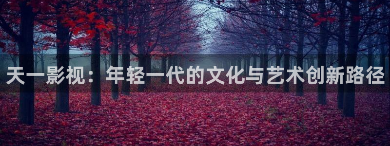 没有天空的城市电影：天一影视：年轻一代的文化与艺术创新路径