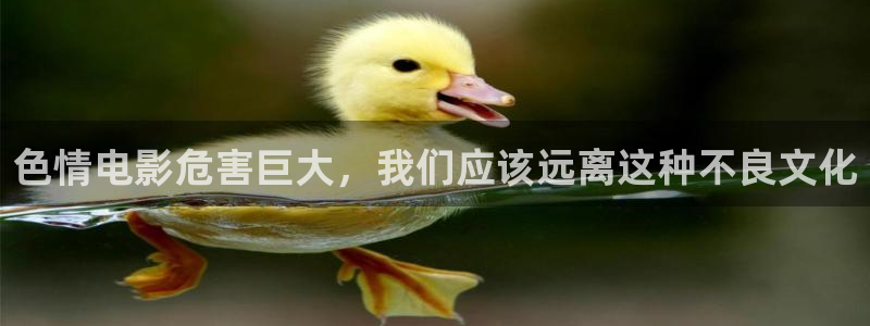 秋日的天空12集全版免费观看樱花：色情电影危害巨大，我们应该远离这种不良文化