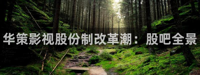 滚动的天空永远滚动下载：华策影视股份制改革潮：股吧全景