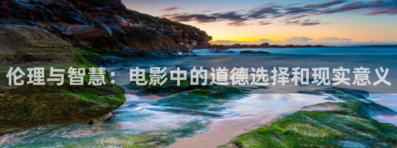 打开我天空在线观看