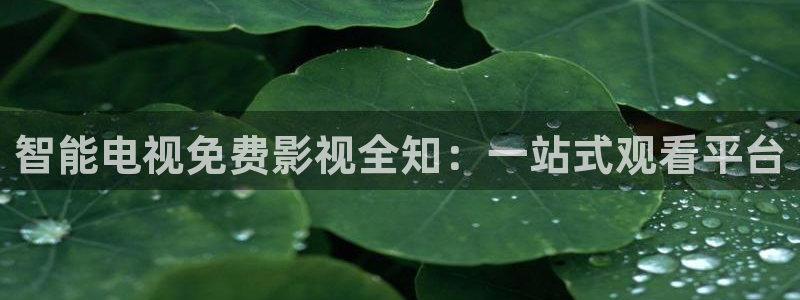 圣母在天空显灵视频：智能电视免费影视全知：一站式观看平台
