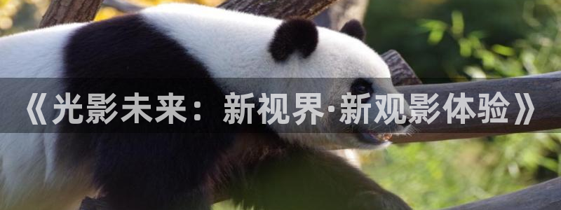 拍天空的视频：《光影未来：新视界·新观影体验》