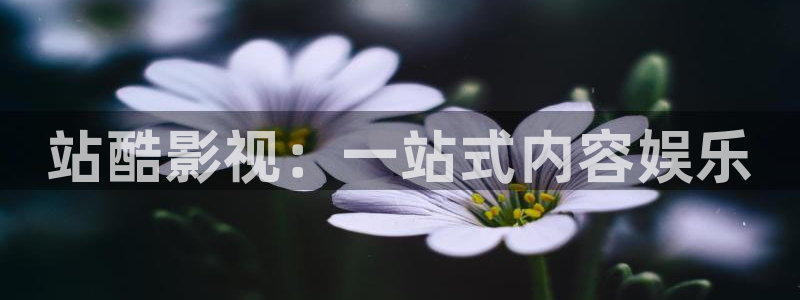 天空视频免费观看电视剧：站酷影视：一站式内容娱乐