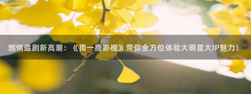 十八岁的天空全集：燃情追剧新高潮：《撸一撸影视》带你全方位体验大明星大IP魅力！