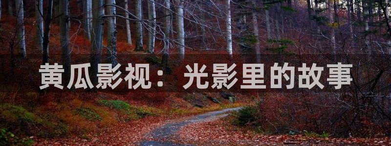巴黎的天空下：黄瓜影视：光影里的故事