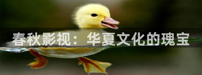天空的遇难船免费观看中文版：春秋影视：华夏文化的瑰宝