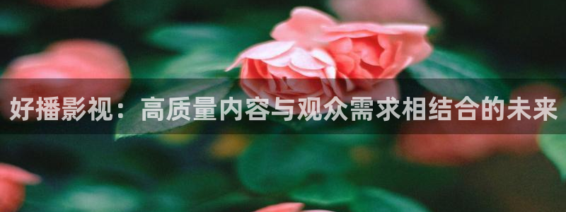 午夜天空电影
